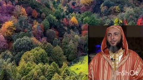 إسمع بقلبك لابعقلك. من تجليات تعلم القرآن الكريم #الشيخ_سعيد_الكملي #متابعة #التقوى #القرآن_الكريم