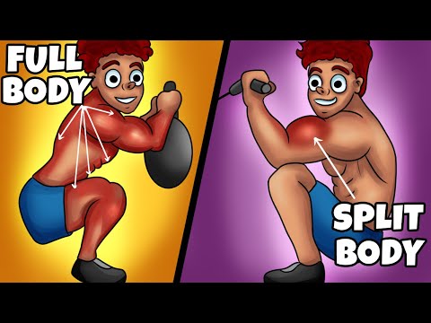 Split VS Full Body Workout Routines