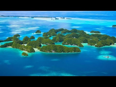 Documental - Oceano Pacifico