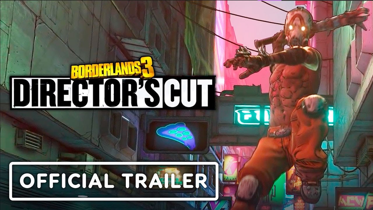 Borderlands 3 Director S Cut Купить