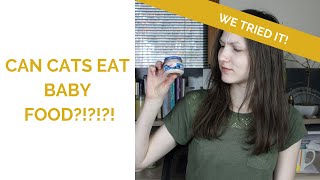 Can Cats Eat Baby Food? See How Wessie Reacts! by Wildernesscat 3,607 views 5 years ago 7 minutes, 48 seconds