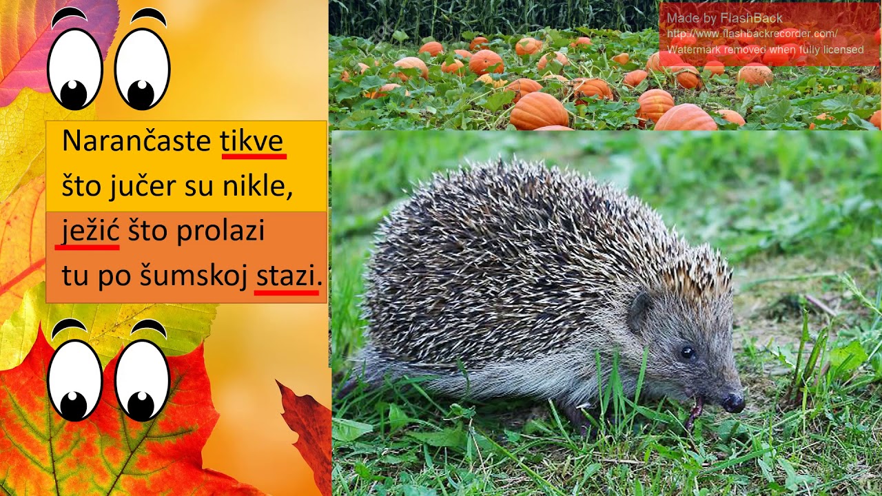 Obilježja lirske pjesme