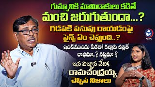 హిందూ సంప్రదాయాల వెనుక సైన్స్..! | Jana Vignana Vedika Prof Ramachandraiah About Hindu Tradition