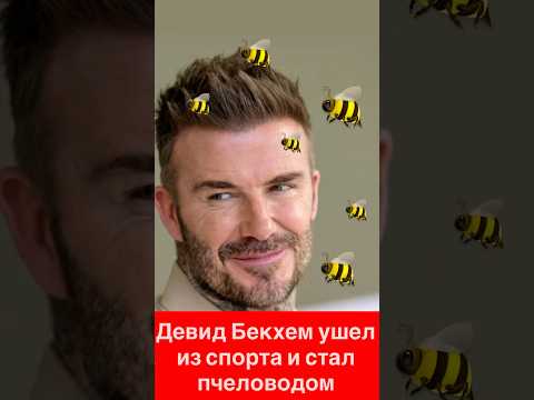 Бекхэм ушёл с поля… в улей! 🐝 Теперь он зарабатывает на мёде!