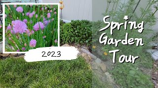 Spring Garden Tour || 2023 || Zone 6b ||
