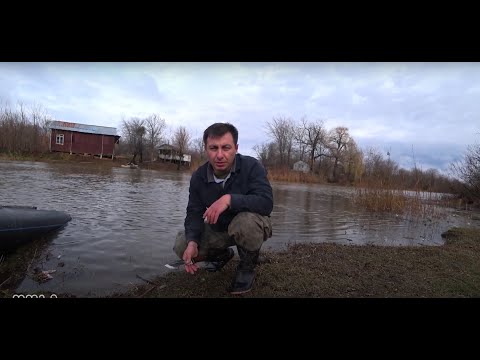 3 დღიანი გასეირნება კოლხეთის დაბლობზე. #ნადირობა #თევზაობა