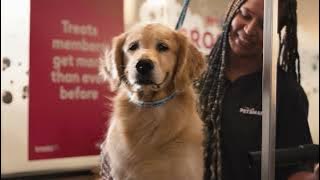 PetSmart Say I’d Do Anything