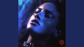 7 Vidas - DAY LIMNS