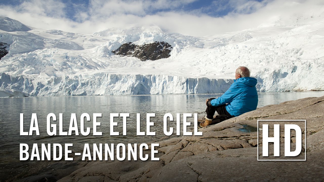 La glace et le ciel Bandeannonce Officielle HD YouTube