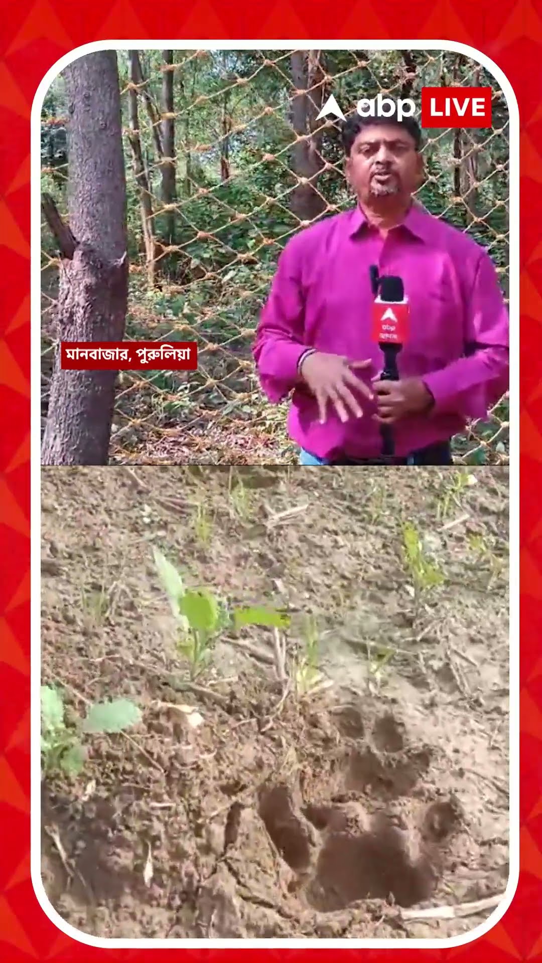 ৫ দিন পর ডেরা বদল  | বান্দোয়ান থেকে এবার মানবাজার