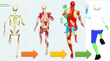 DNA Run 3D - All Levels Gameplay Android ios Levels 11-12