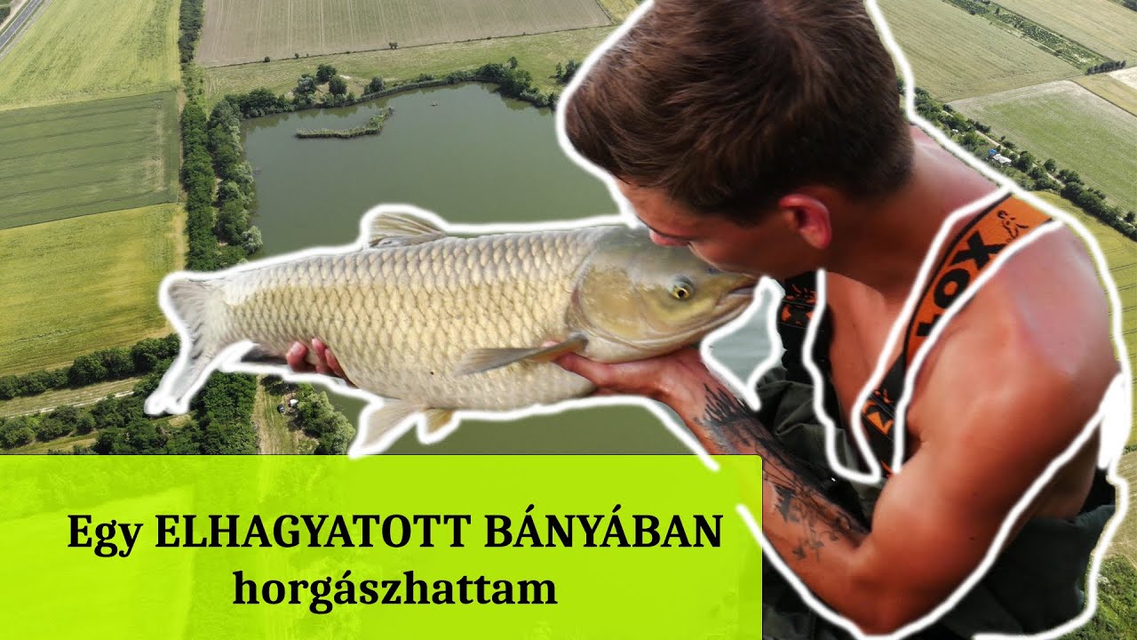 Egy ELHAGYATOTT BÁNYÁBAN horgászhattam---VADVÍZI AMÚR PARÁDÉ---