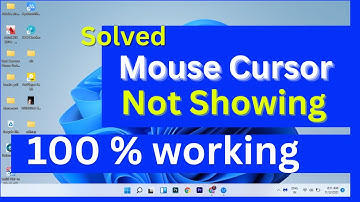 Fixed Cursor is not showing in laptop windows 11| Laptop Mouse Cursor not Showing