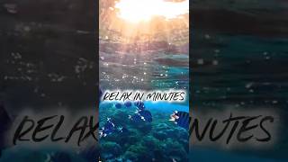 Relaxing Ocean Waves &amp; Soft Piano Music 🌊🎹 #Shorts