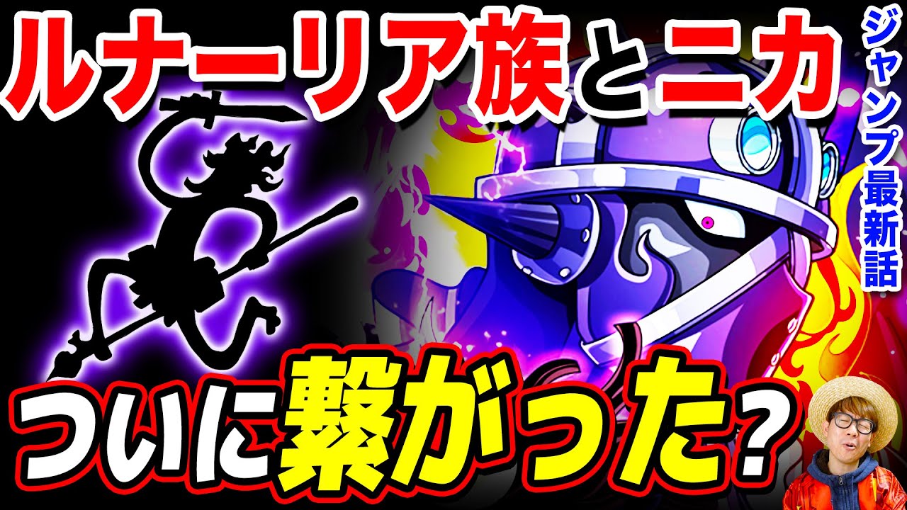 動画 ルナーリア族の真相がヤバい キングとニカの関係は ジャンフェス感想も ジャンプ最新話1035話ネタバレ注意 ワンピース 考察 動画でマンガ考察 ネタバレや考察 伏線 最新話の予想 感想集めました