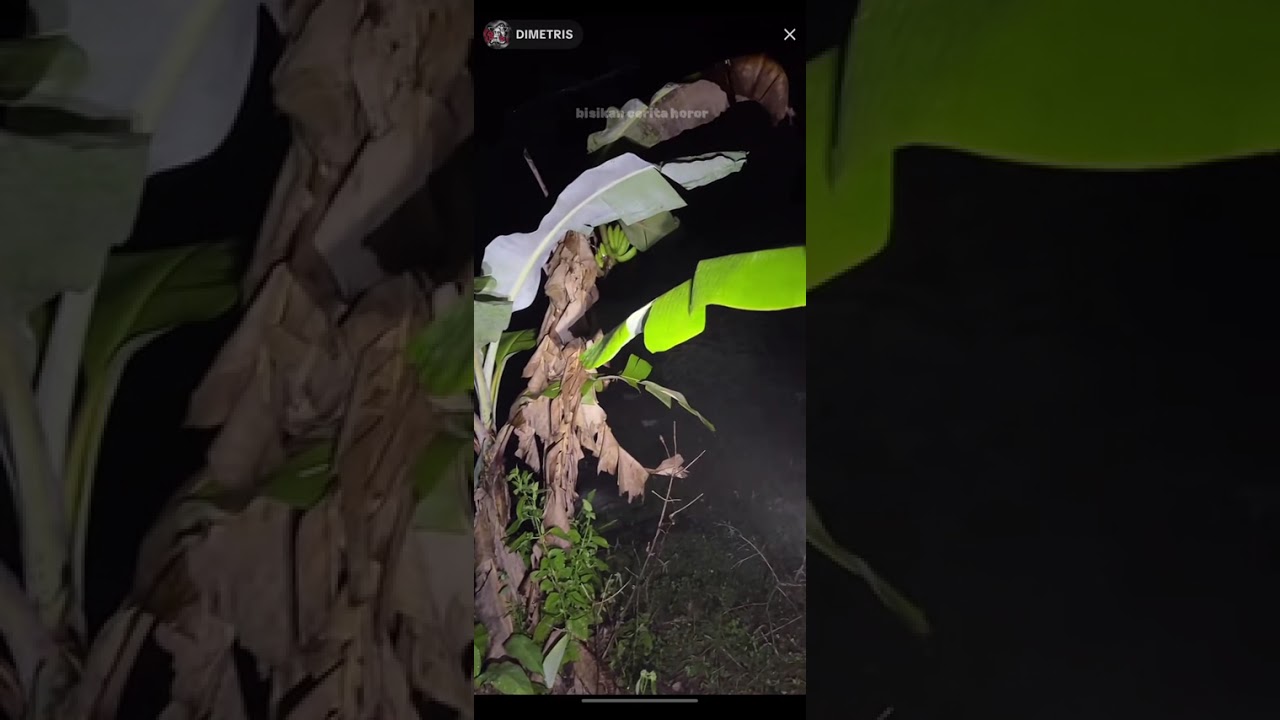 Explore DimetrisSpesial di Makam Ngawen full sesi Putra