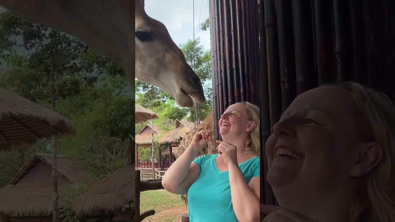 Vinpearl Safari Animal Care and Conservation Park Vietnam Phu Quoc Island