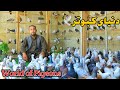 دنیای کبوتر 150 کفتر سار هرات تازه رسید و موجودی دوکان پنجصد کفتر دوکان ابراهیم هراتی 
