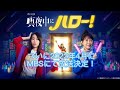 真夜中にハロー!がついに、MBS(毎日放送)にて2022年4月に放送決定!予告