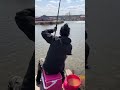 Enjoy netting fishes. #fishcatching #pond #fun #outdoor #leisure