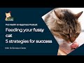 Feeding Your Fussy Cat | 5 Strategies for Success