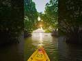 Munroe Island #kayaking #kayakingadventures #travel #munroeisland #kerala #shorts #nature