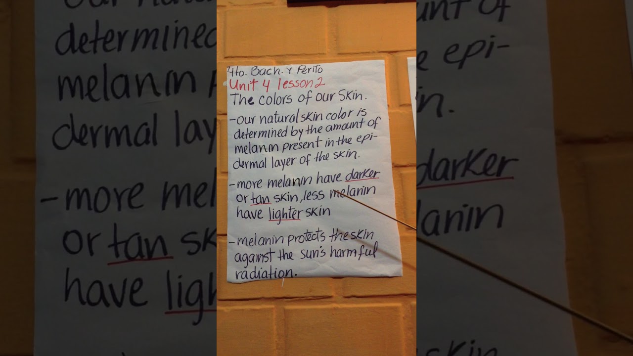 4to  BACHILLERATO Y PERITO 20 al 24 de abril