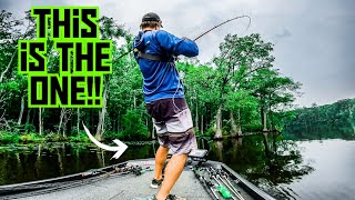 This GIANT Bass SAVED Our BASS TOURNAMENT!!! || Afternoon Bass Tournament