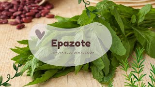 Epazote