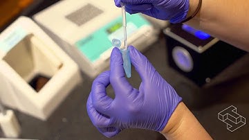 The Tech participates in iGem