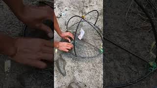 PASANG PERANGKAP KEPITING #shorts #bulukumba #viral