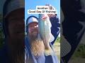 #bassfishing #crappiefishing #catfishing #marktwainlake #onthepontoon #beardsandbowsoutdoors