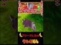 いつからドンキーコング64だと錯覚していた？ #shorts