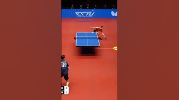 Timo Boll vs Antoine Hachard WOW🤩 point | Champions league 2025 #düsseldorf #borussia #table tennis