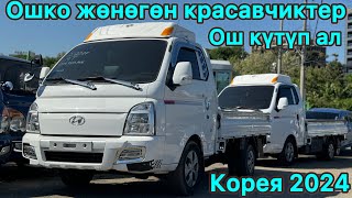 Ошко таза 4 Портер жана Спарк жүктөлдү, Корея 2024 +821079399496