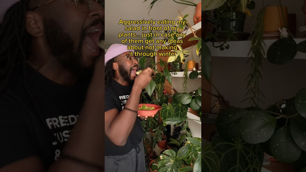 Just eating a salad in front of my plants so they remember what happens when they don’t act right.