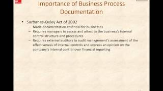 Learning Plan 3 Business Process Documentation