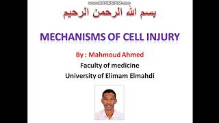 المحاضرة الرابعة - شرح آليات اصابة الخلية - mechanisms of cell injury #طبيب_سوداني_TSD