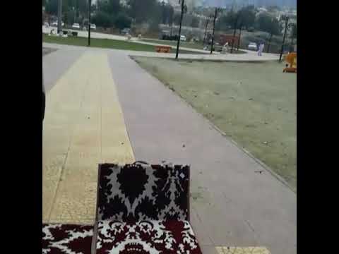 يسعد صباح اللي طرأ من بدري