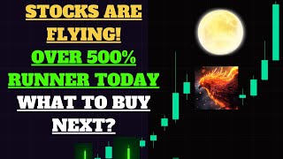 THIS WEEK IS INSANE. SO MANY RUNNERS 100%, 400% ,500% ,1000%! WHAT STOCK IS NEXT TO RUN? MUST WATCH🎃