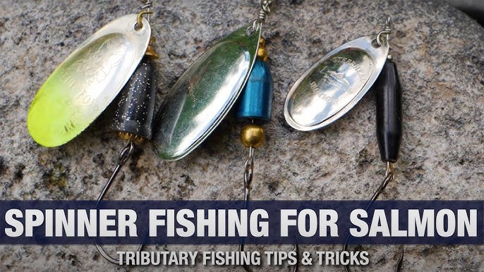 How To CATCH Salmon, Trout, & Steelhead With SPINNERS. (EASY To Learn.) 