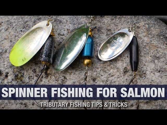 How To FISH SPINNERS For Spring/Summer King Salmon (River