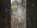 Interesting names on grave stones #cemetary #names #victoriannames