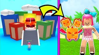 Roblox: I Found a *SECRET* PET In TOY LAND!