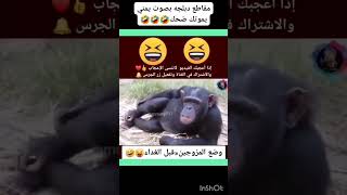 #اكثر وضع لي  المو زوجين في موسم البرد وقت الغده هههههه #مضحكة