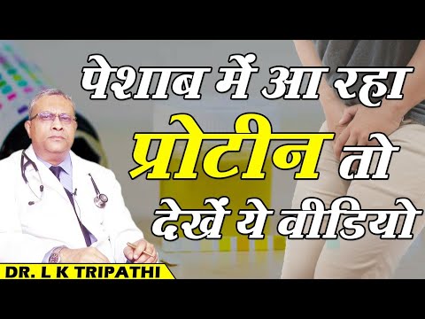 वीडियो: कुत्तों में शरीर में प्रोटीन जमा