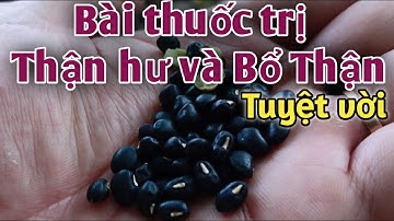 Bài thuốc trị Hư thận và bổ thận. PHAN HẢI channel