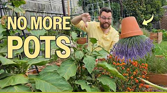 12 Low-Maintenance Tweaks for the Lazy Gardener