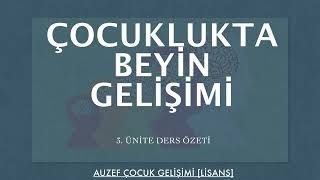 AUZEF/ÇOCUKLUKTA BEYİN GELİŞİMİ/ 3. ÜNİTE DERS ÖZETİ [4. Sınıf]