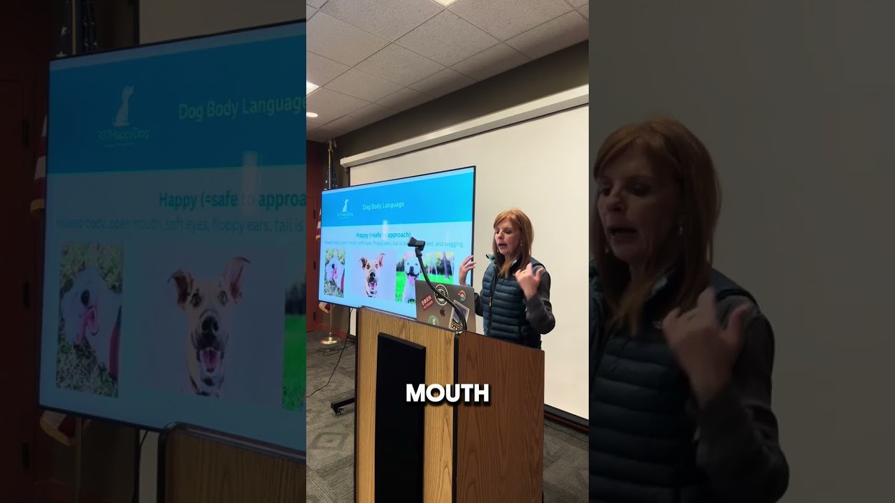 Dog Behavior- Dogs talk to us, but what are they saying? 